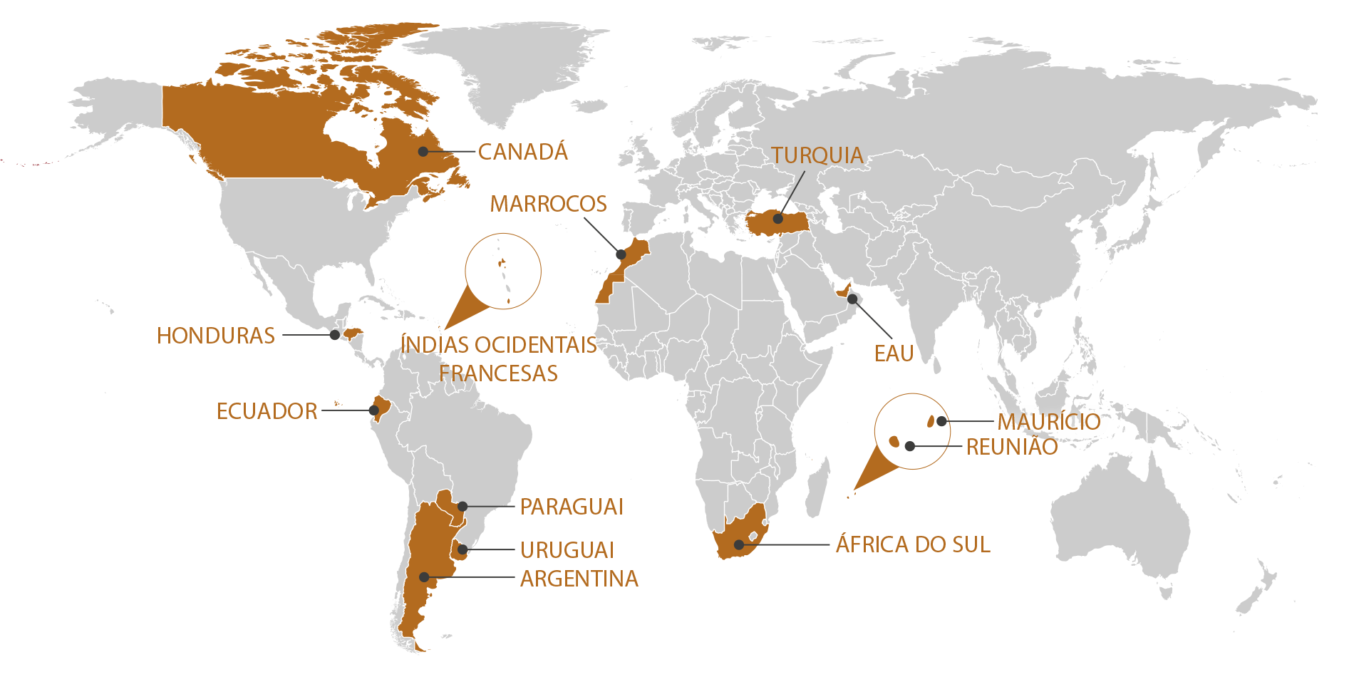 RGIS_FRANCHISE_WORLD_PT_1125. RGIS Franchise