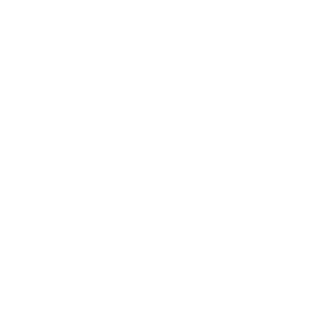 franchise investing